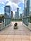 474 N Lake Shore Unit 3309, Chicago, IL 60611