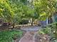 1323 Auburn, Naperville, IL 60565