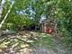 1323 Auburn, Naperville, IL 60565