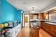 2419 Elm, River Grove, IL 60171