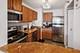 111 W Maple Unit 1704, Chicago, IL 60610