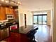 1250 S Indiana Unit 503, Chicago, IL 60605