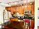 1250 S Indiana Unit 503, Chicago, IL 60605