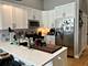 1470 W Webster Unit 203, Chicago, IL 60614