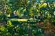 318 E Prospect, Ottawa, IL 61350