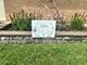146 Well, Park Forest, IL 60466