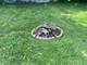 146 Well, Park Forest, IL 60466