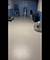 6209 W 63rd, Chicago, IL 60638
