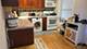 920 Wesley Unit 1, Oak Park, IL 60304