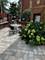 1614 N Harding Unit G, Chicago, IL 60647