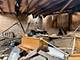 6012 S Honore, Chicago, IL 60636