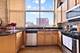 1528 S Wabash Unit 208, Chicago, IL 60605