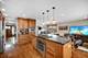 1167 Longtree, Wheeling, IL 60090