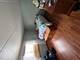 1257 Chalet Unit 100, Naperville, IL 60563