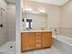 1145 E 46th, Chicago, IL 60653
