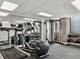 320 E 21st Unit 717, Chicago, IL 60616