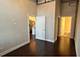 320 E 21st Unit 717, Chicago, IL 60616