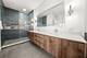 501 N Clinton Unit 3203, Chicago, IL 60654