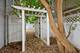 4442 N Melvina, Chicago, IL 60630