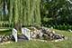 8S452 Bell, Naperville, IL 60565