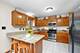 16620 Pear, Orland Park, IL 60467