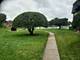 9397 Bay Colony Unit 3W, Des Plaines, IL 60016