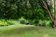 208 Brookdale, Palatine, IL 60067