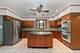3011 S Emerald, Chicago, IL 60616