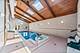 3011 S Emerald, Chicago, IL 60616
