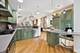 453 W Roslyn, Chicago, IL 60614