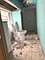 8705 S Marquette, Chicago, IL 60617