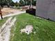 2948 W Wilcox, Chicago, IL 60612