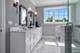 1062 Livingston, Highland Park, IL 60035