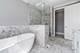 1062 Livingston, Highland Park, IL 60035