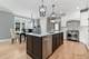1062 Livingston, Highland Park, IL 60035
