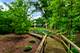 603 Driftwood, Naperville, IL 60540