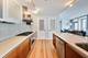 340 E Randolph Unit 1002, Chicago, IL 60601