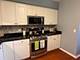 1378 Perry Unit 412, Des Plaines, IL 60016