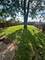 1111 N May, Joliet, IL 60435