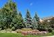 803 Stone Canyon, Inverness, IL 60010
