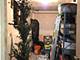 7642 N Greenview Unit 3N, Chicago, IL 60626