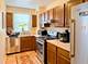 4900 N Marine Unit 709, Chicago, IL 60640