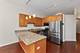 1464 S Michigan Unit 703, Chicago, IL 60605