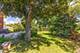 14739 Maple, Orland Park, IL 60462