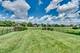 3703 Mistflower, Naperville, IL 60564
