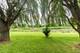 5N155 Prairie Rose, St. Charles, IL 60175