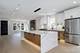 5218 N Liano, Chicago, IL 60630