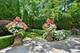 1144 Green Bay, Highland Park, IL 60035