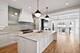 1932 W Wolfram, Chicago, IL 60657