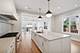 1932 W Wolfram, Chicago, IL 60657